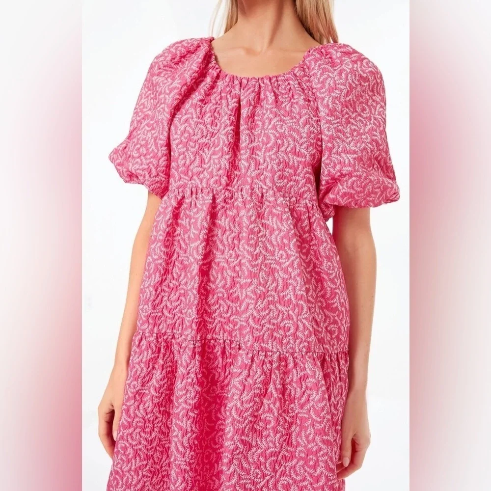NWT Tuckernuck Hyacinth House Textured Pink Belinda Mini Dress sz L